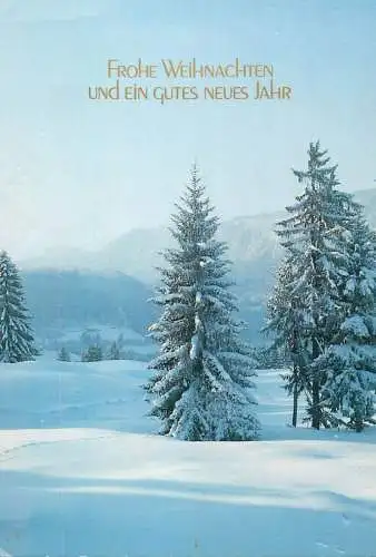 Winter Holidays greetings frozen fir trees