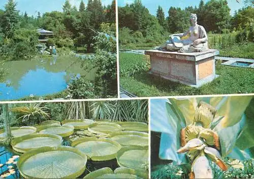 Romania Cluj-Napoca aspecte din Gradina botanica