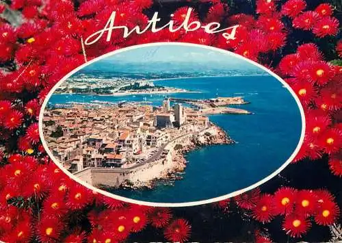 France Antibes souvenir vue generale