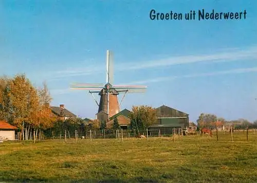 Netherlands Nederweert (Limburg) Molen Kreyel
