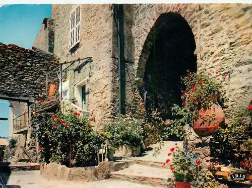 France Cote d'Azur Bormes-les-Mimosas (Var)  - coin pittoresque