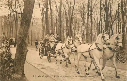 s`Gravenhage H. M. Koningin in het Haagsche Bosch 1909