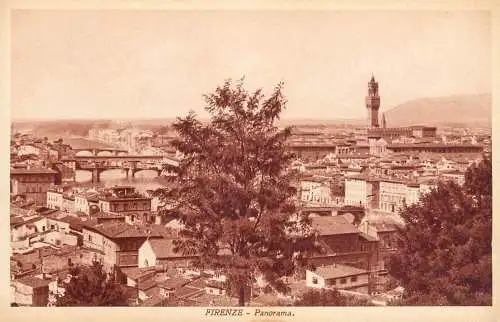 Italy Florence panorama