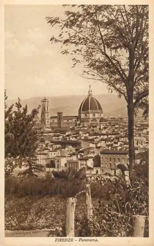 Italy Florence panorama