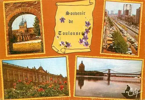 France Toulouse multi view