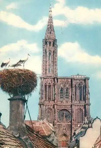 France Alsace pittoresque souvenir de Strasbourg