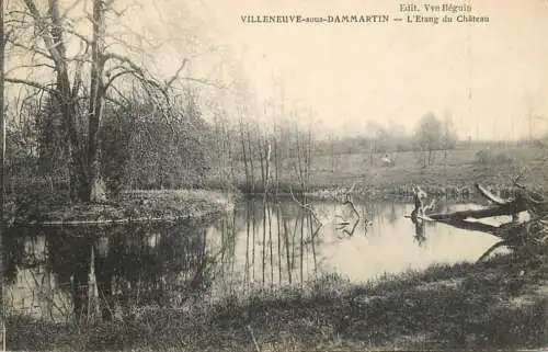 cpa France Seine et Marne Villeneuve-sous-Dammartin l'etang du chateau