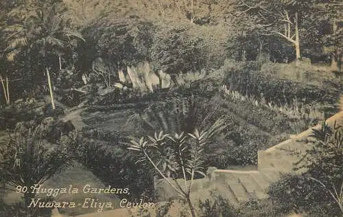 Ceylon Nuwara Eliya Huggala Gardens