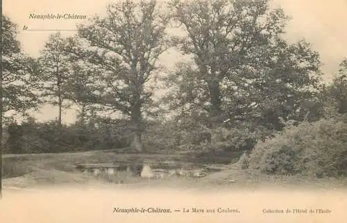 cpa France Yvelines Neauphle-le-Château la Mare aux Coulons
