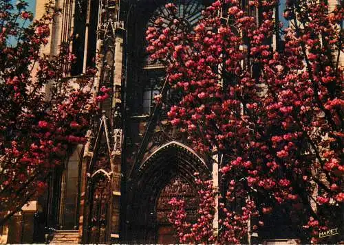France Rouen (Seine-Maritime) La Cathedrale Portail de la Calende