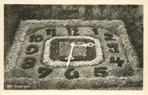 Germany Zittau die Blumenuhr