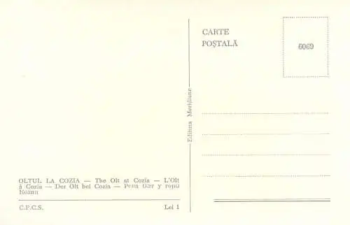 Postcard Romania Oltul la Cozia