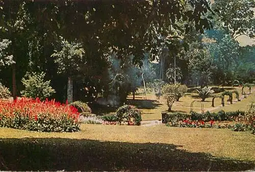 Sri Lanka Peradeniya botanic gardens 1972