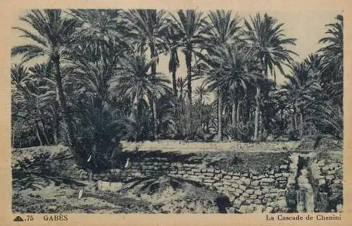 Tunisia Gabès la cascade de Chenini