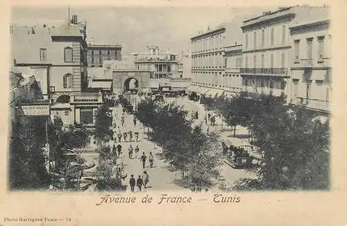 Tunisia avenue de France Tunis horse drawn tram