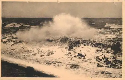 Postcard Belgium la panne