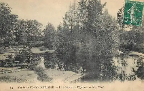 Fontainebleau foret