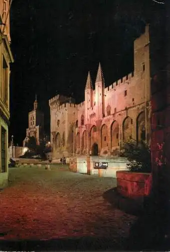 France Avignon - les Palais des Papes la nuit