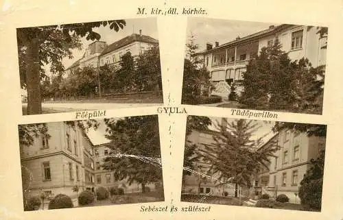 Hungary Gyula multi view