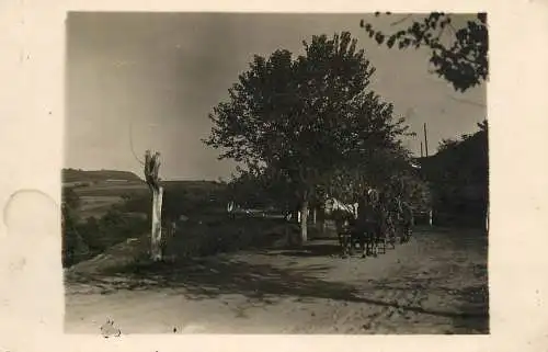 Hungary countryside area types and scenes horse cart