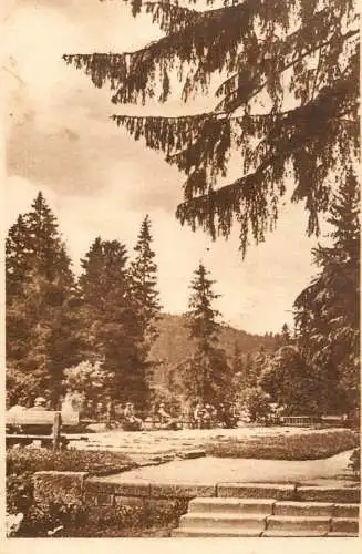 Romania Tusnad - parcul vedere 1955