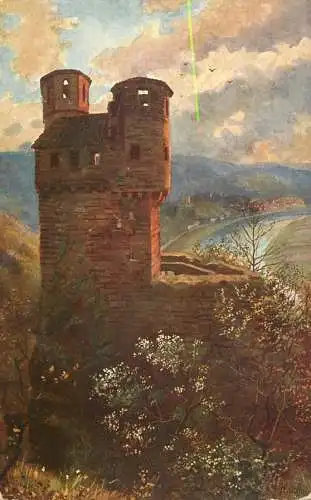 Germany Das Schwalbennest mit Neckarsteinach