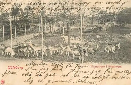 Sweden Goteborg Castle forest animal park deer