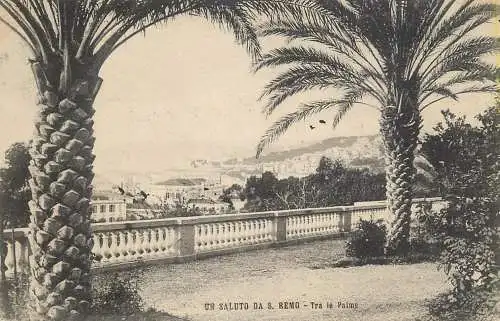 Italy San Remo Tra le Palme