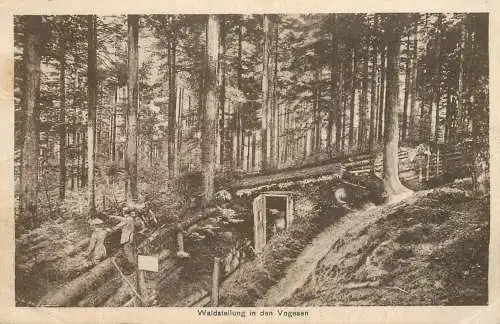 Feldpostkarte 1916 Allemagne Waldstellung in den Vogessen