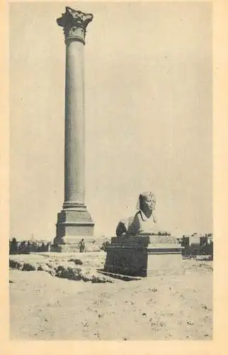 Postcard Egypt Alexandria Pompey's pillar
