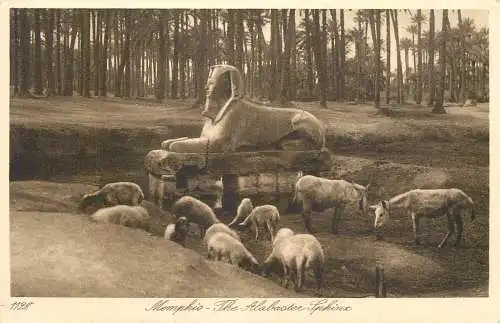Postcard Egypt Memphis the Alabaster Sphinx