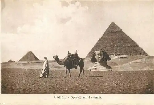 Postcard Egypt Cairo the Pyramids of Gizeh