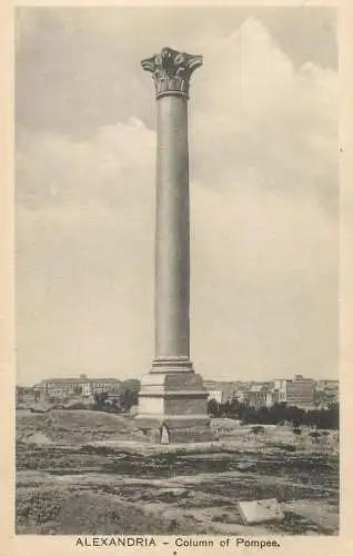 Postcard Egypt Alexandria Pompey Column and Sphinx
