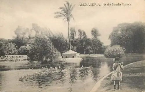 Postcard Egypt Alexandria in the Nouzha Garden