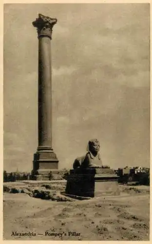 Postcard Egypt Alexandria Pompey Column and Sphinx