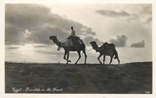 Postcard Egypt eventide in the desert