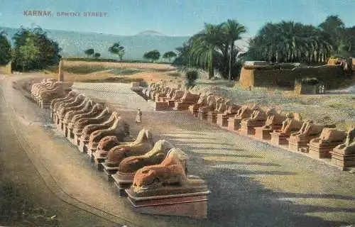 Postcard Egypt Karnak Sphynx street