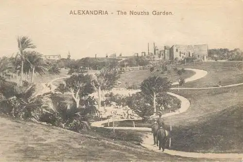 Postcard Egypt Alexandria The Nouzha garden