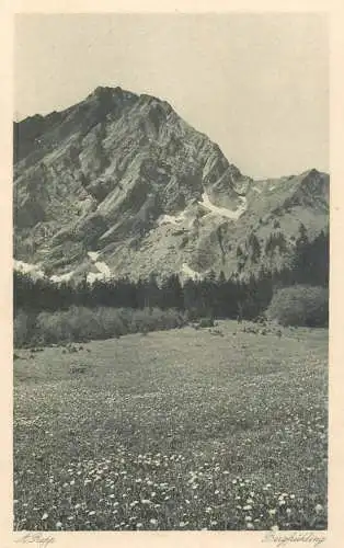 Bergfruhling picturesque mountain scenery flowery meadow