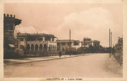 Postcard Egypt Heliopolis Lotus street