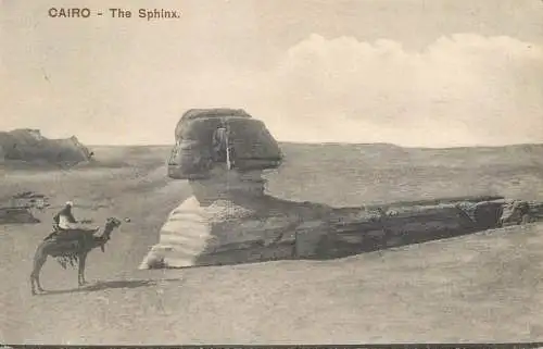 Postcard Egypt Cairo the Sphinx and camel