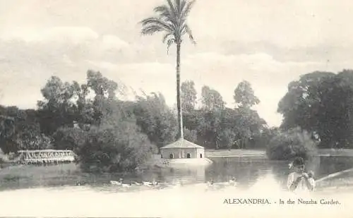 Postcard Egypt Alexandria in the Nouzha garden