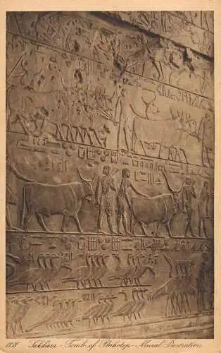 Postcard Egypt Sakhara tomb of Ptahotep Mural Decoration