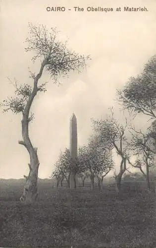 Postcard Egypt Cairo the obelisk at Matarieh