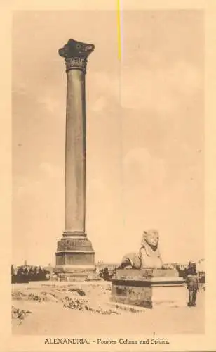 Postcard Egypt Alexandria Pompey Column and Sphinx
