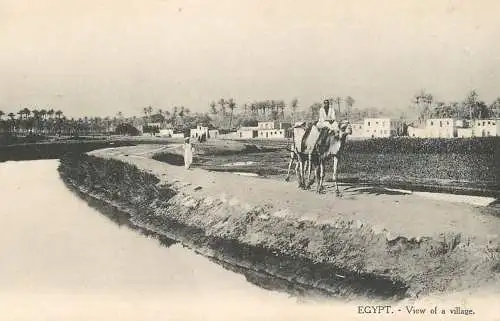 Egypt village view camel scene