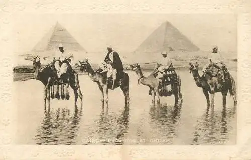 Egypt Cairo Ghizeh pyramids and camel bedouins