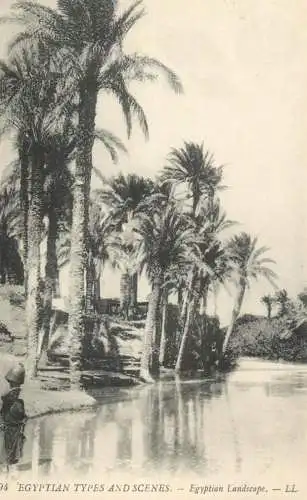 Egypt types and scenes landscape water carrier