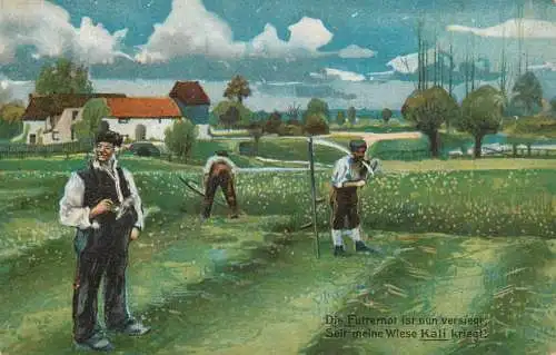 Advertising for Kali plant food farming scene