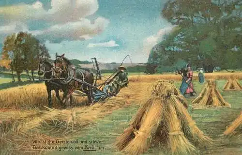 Farming advertising for Kali plant food horses ploghing